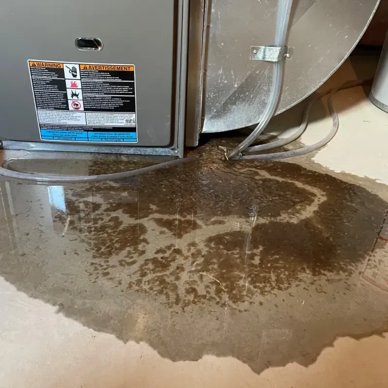 Appliance Leak Cleanup in Watauga, TX